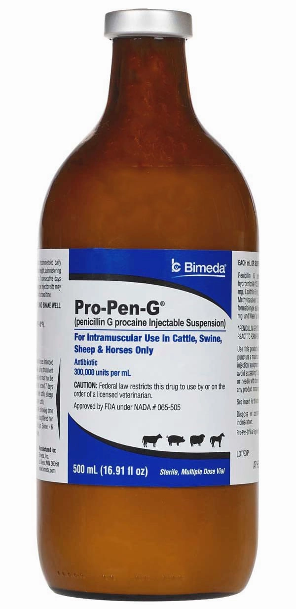 Rx Pro Pen G (penicillin G procaine) Injectable Solution for Cattle, Sheep, Swine, & Horses