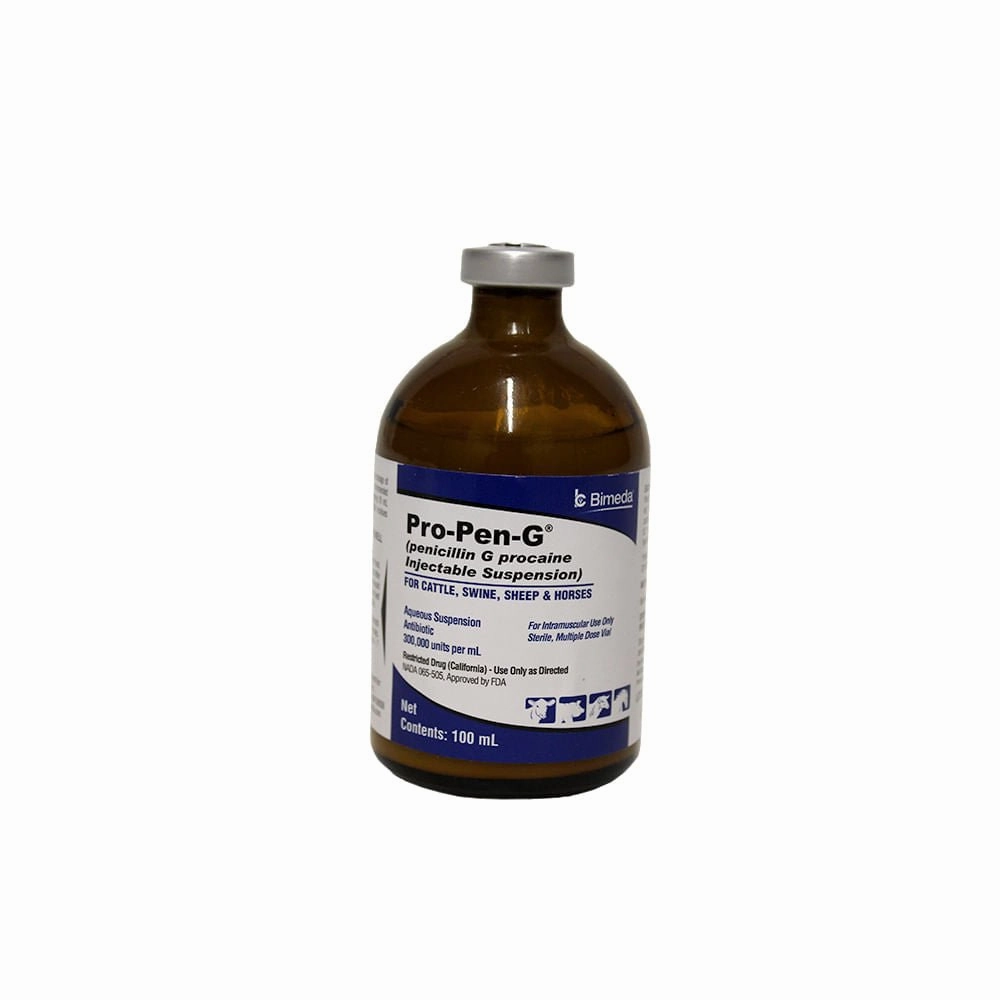 Rx Pro Pen G (penicillin G procaine) Injectable Solution for Cattle, Sheep, Swine, & Horses