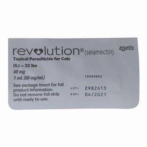 Rx Revolution, Feline