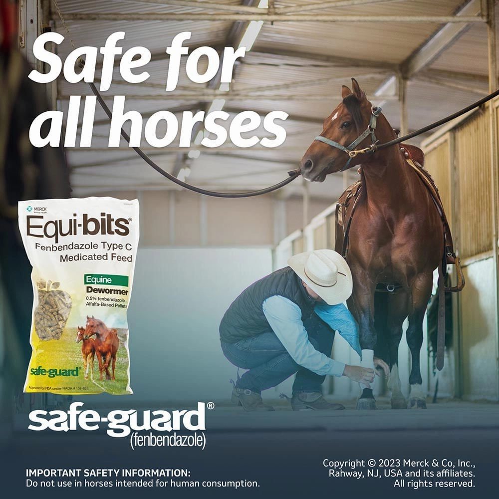 Safe-Guard Equi-bits Fenbendazole Medicated Feed Equine Dewormer, 1.25 lb