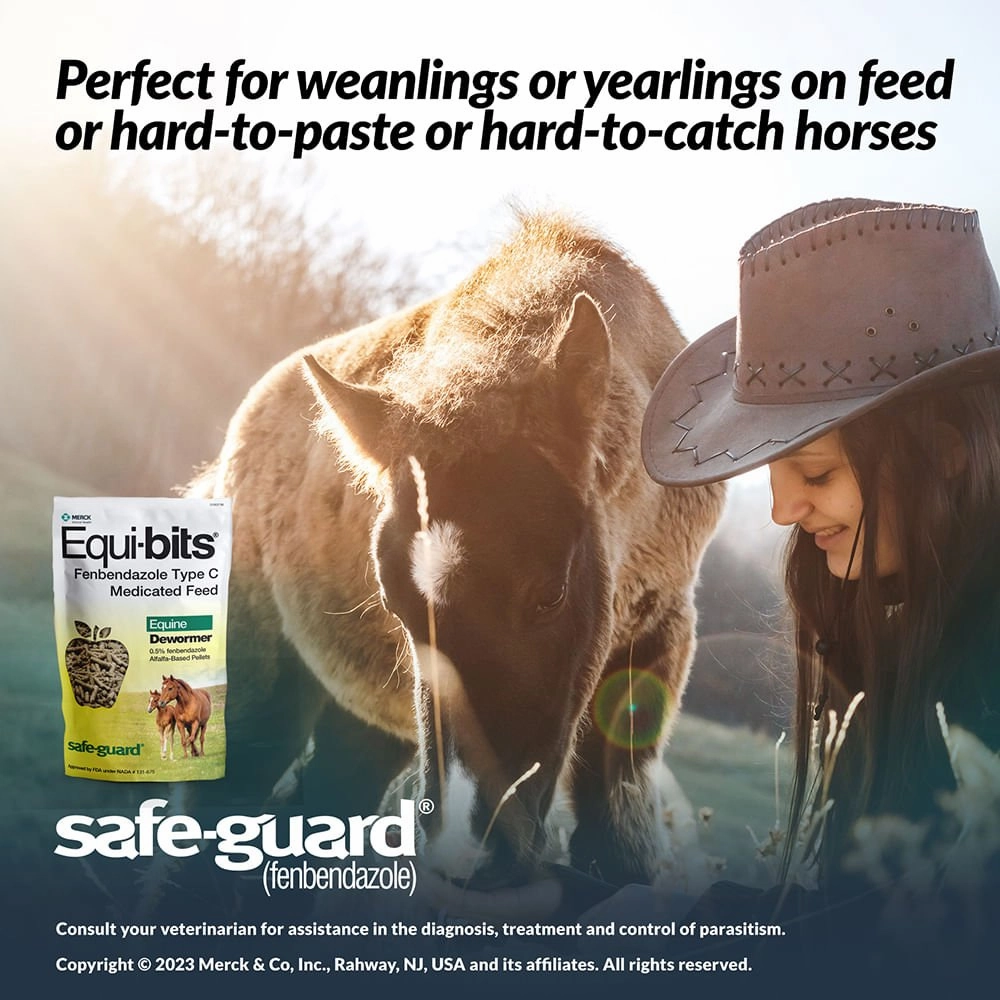 Safe-Guard Equi-bits Fenbendazole Medicated Feed Equine Dewormer, 1.25 lb