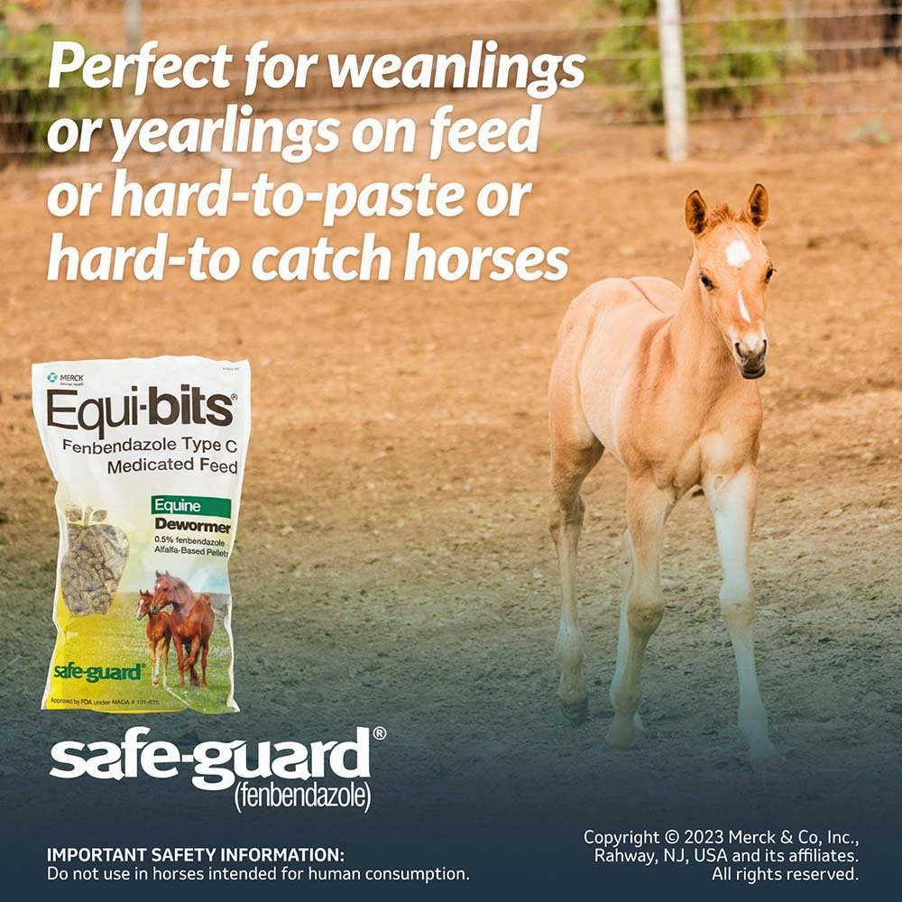 Safe-Guard Equi-bits Fenbendazole Medicated Feed Equine Dewormer, 1.25 lb