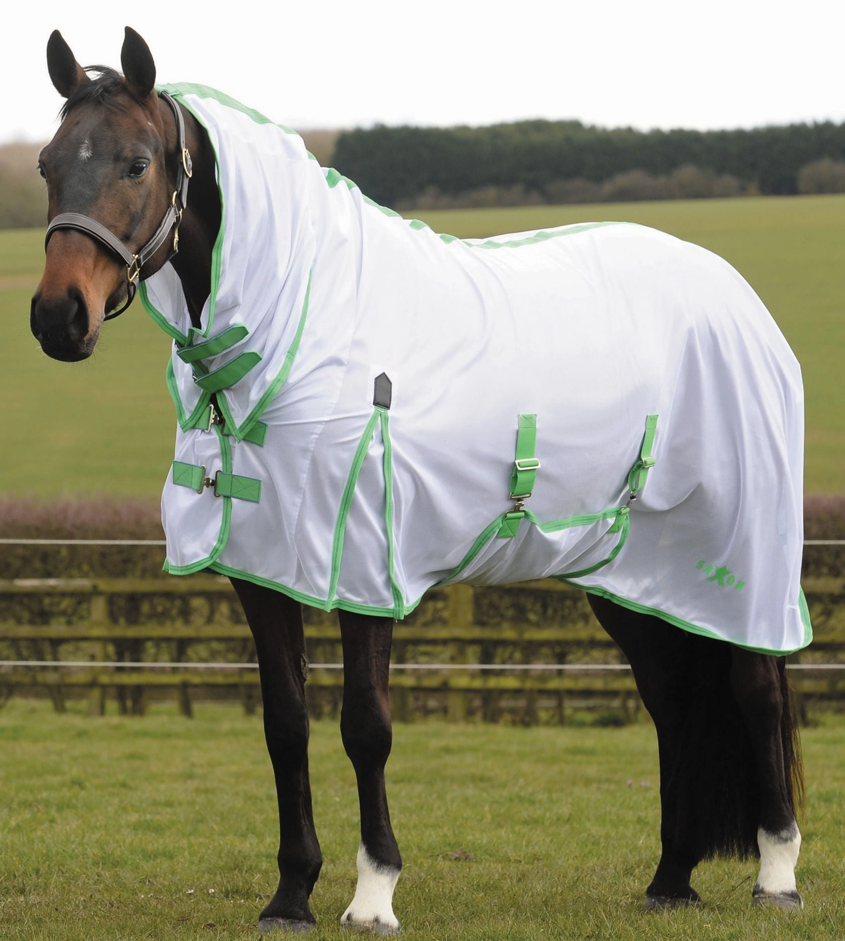 Saxon Combo Neck Mesh Horse Fly Sheet