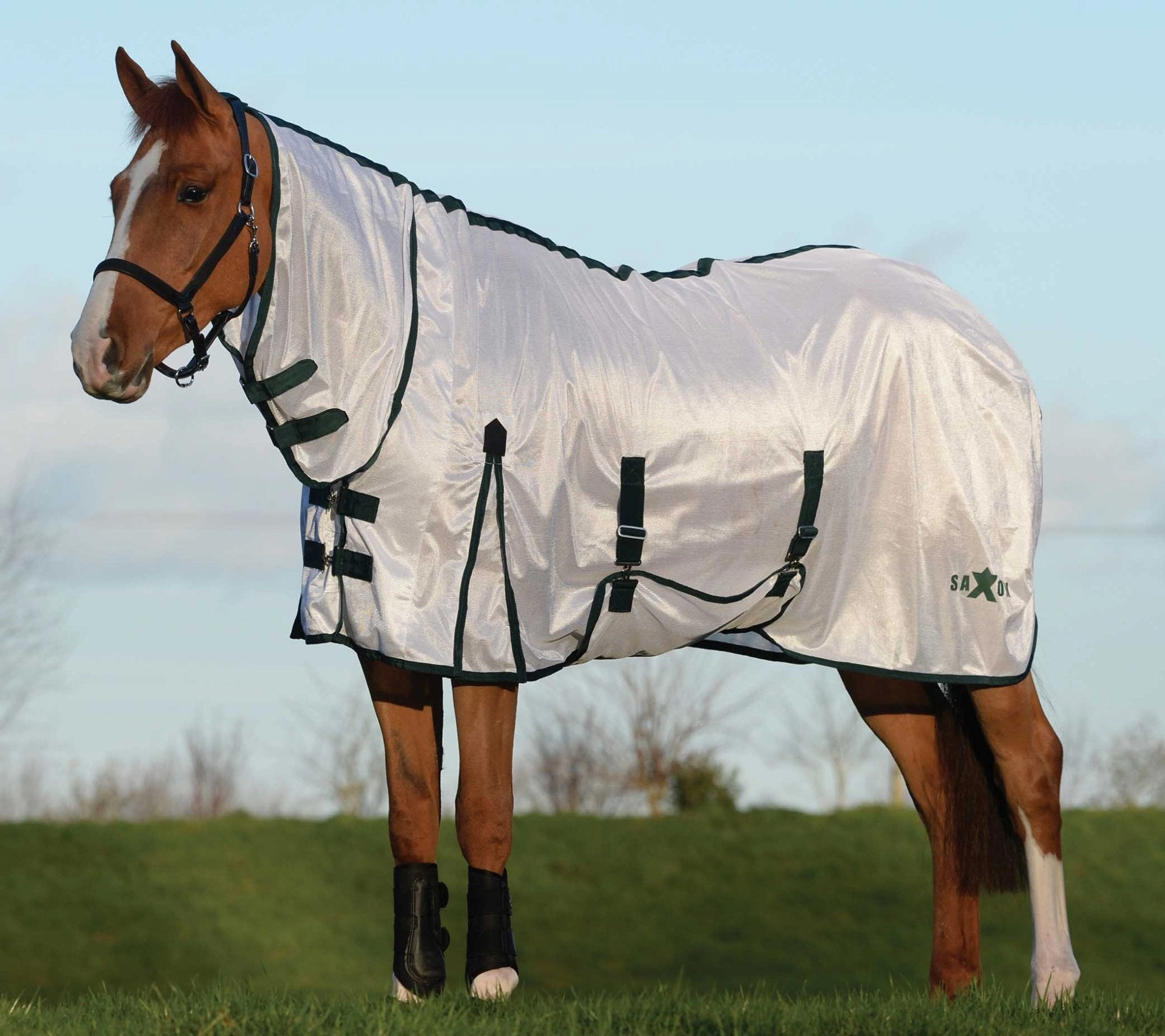 Saxon Combo Neck Mesh Horse Fly Sheet