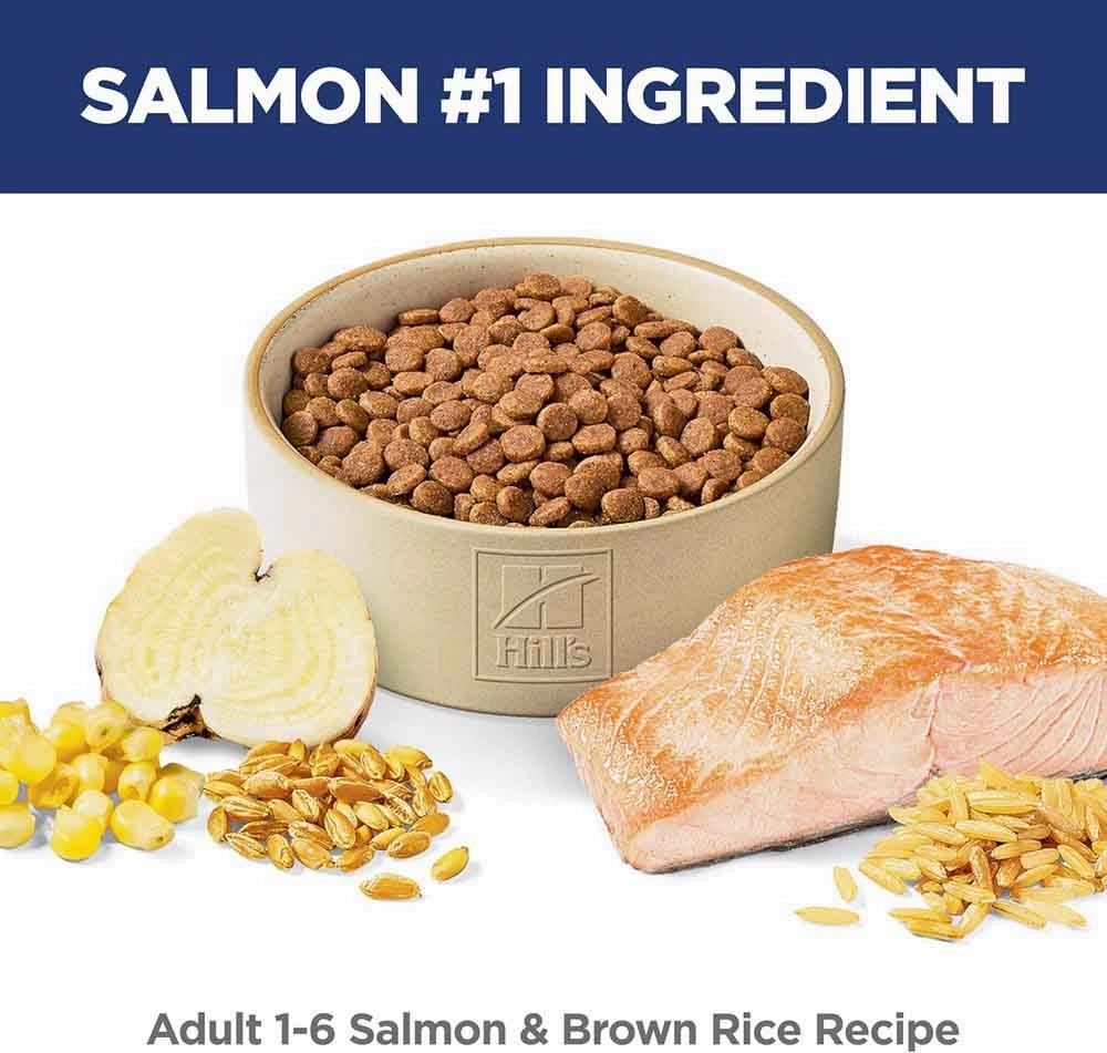 Science Diet Adult Salmon & Brown Rice Dry Cat Food 3.5lb