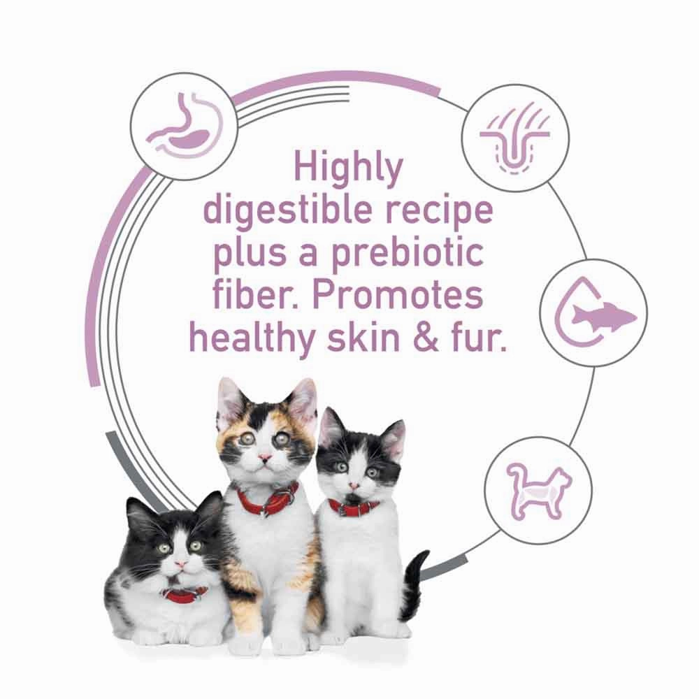 Science Diet Kitten Sensitive Stomach & Skin Salmon & Brown Rice Dry Cat Food 3.5lb