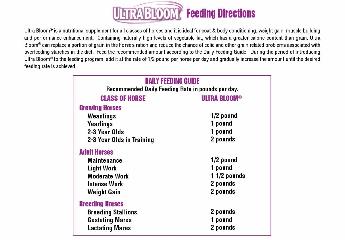 Seminole Ultra Bloom Rice Bran Supplement for Horses