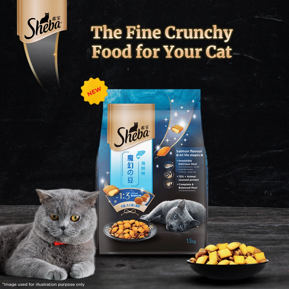 Sheba Maguro & Bream Fish Mix Premium Cat Wet Food and Salmon Flavour Irresistible All Life Stages Cat Dry Food Combo