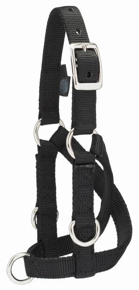 Sheep/Goat Treadmill Halter