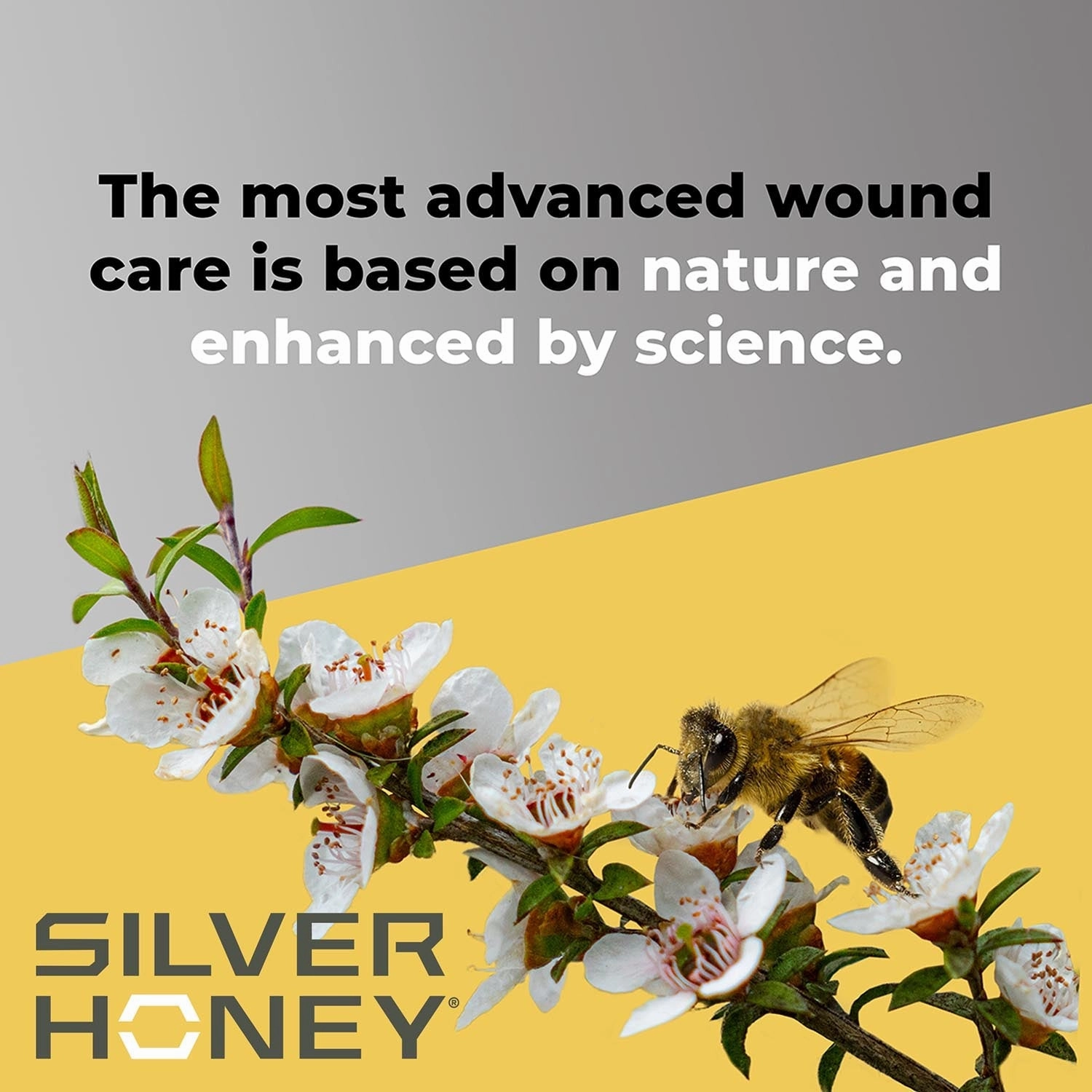 Silver Honey Rapid Skin Relief Medicated Shampoo, 16 oz