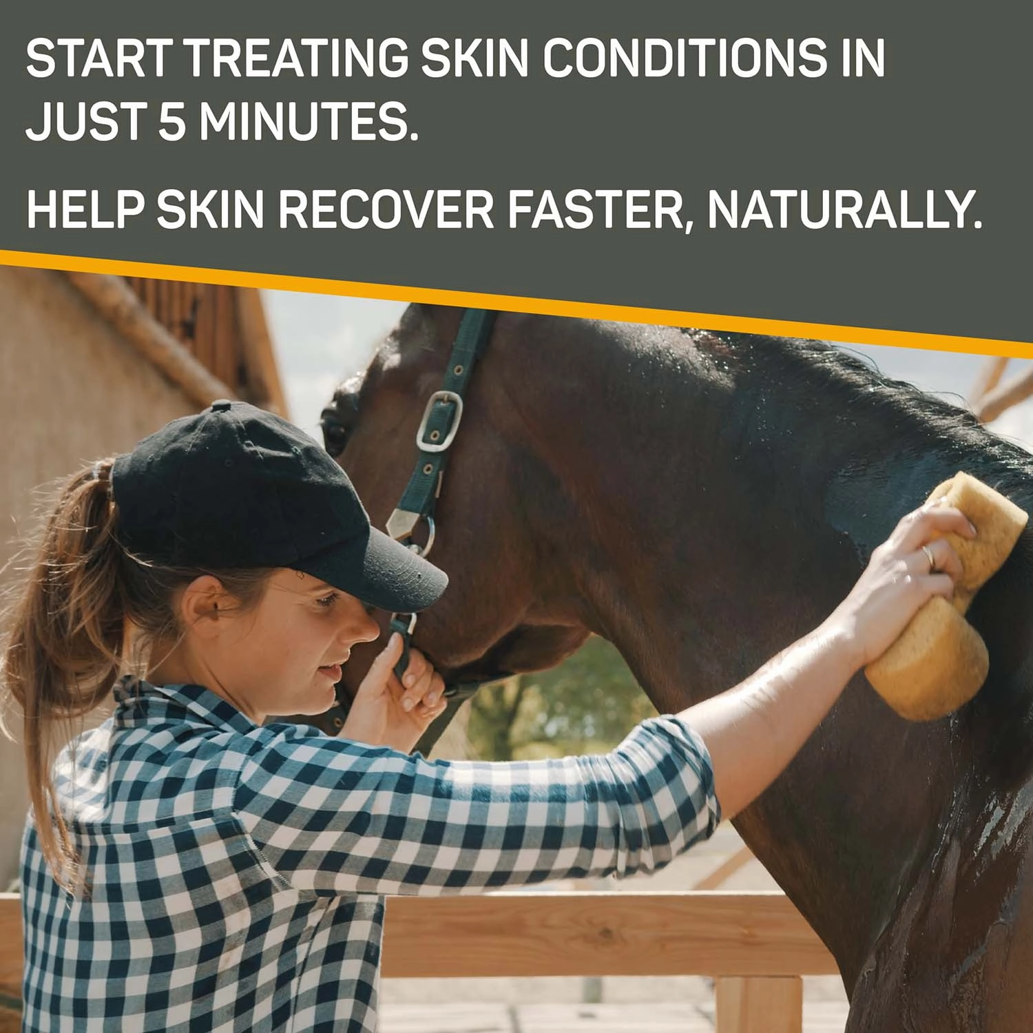 Silver Honey Rapid Skin Relief Medicated Shampoo, 16 oz