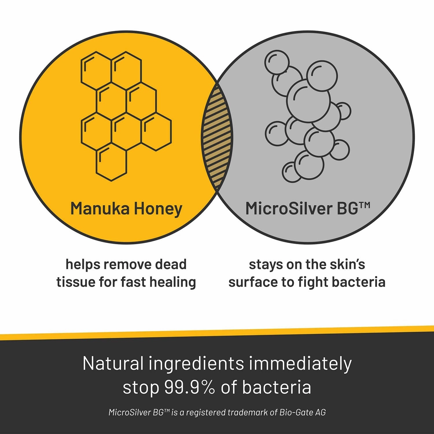 Silver Honey Rapid Skin Relief Medicated Shampoo, 16 oz