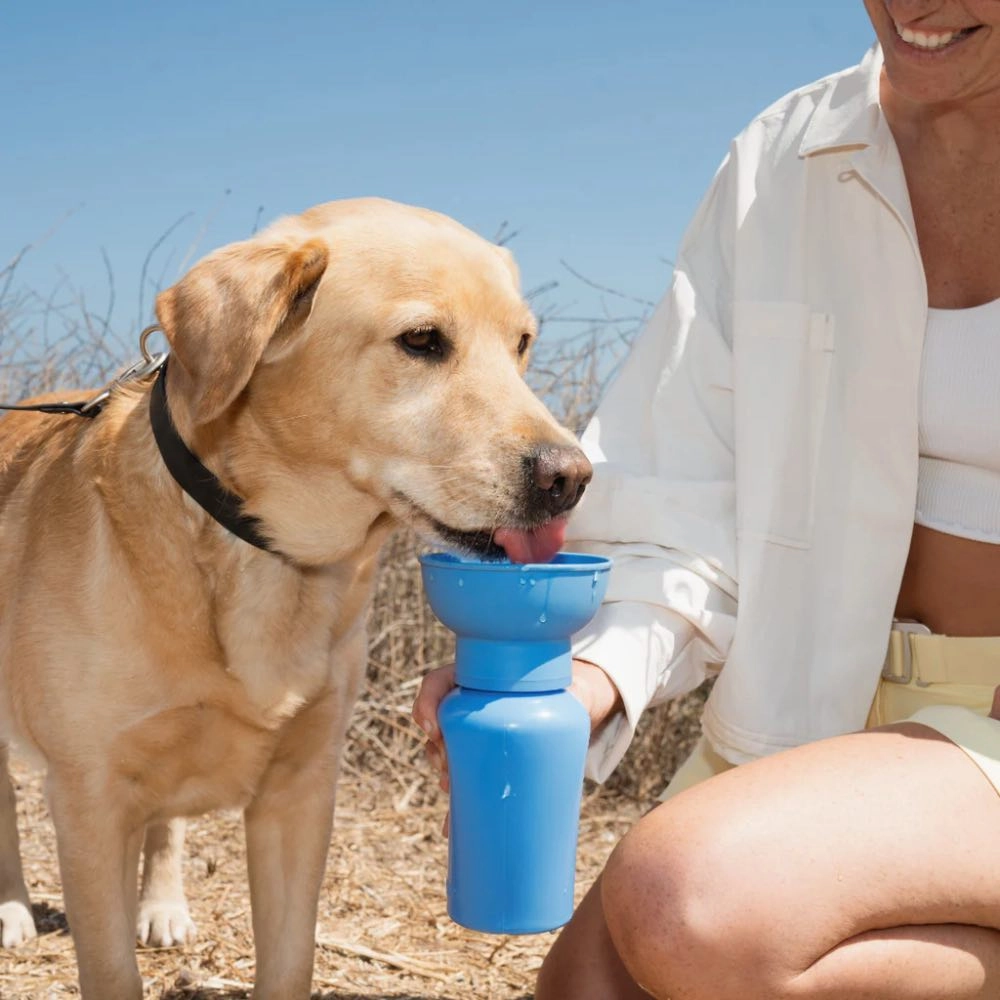 Springer Flip Dog Travel Water Bottle 590ml (Blueberry)