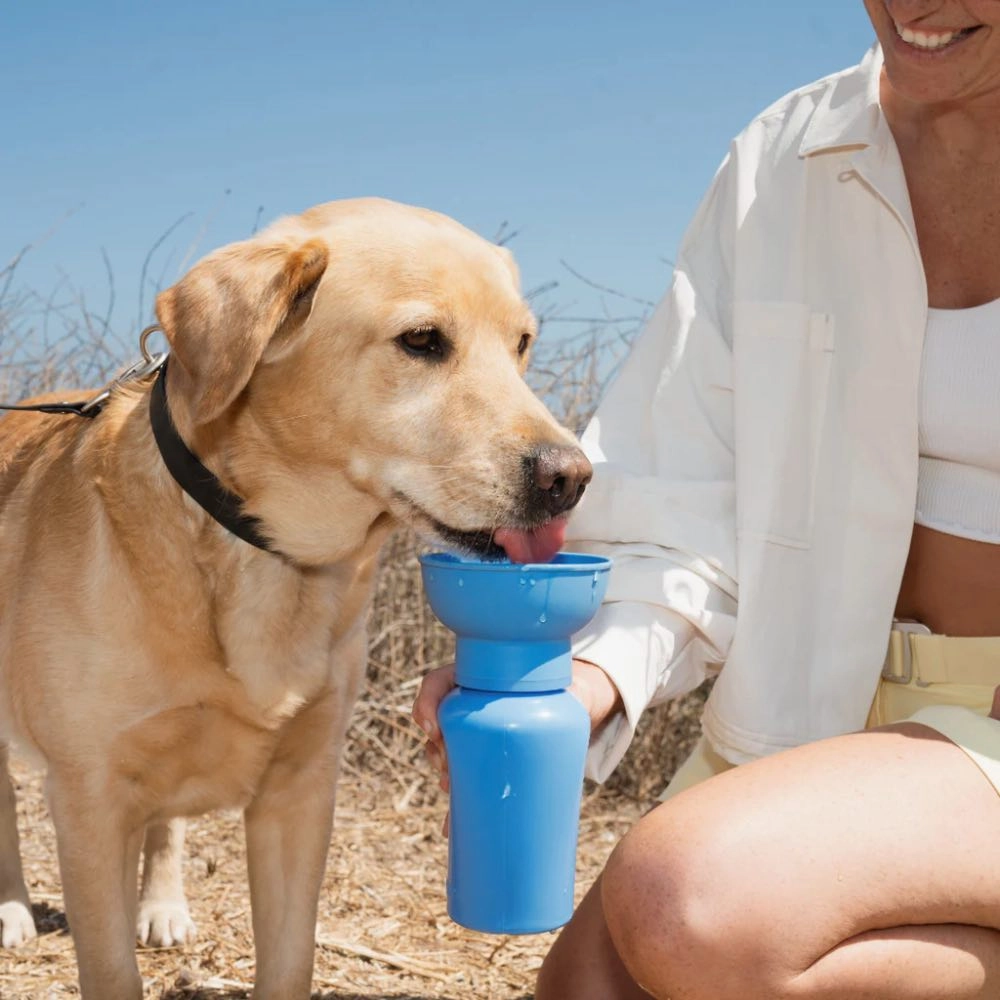 Springer Flip Dog Travel Water Bottle 590ml (Lilac)