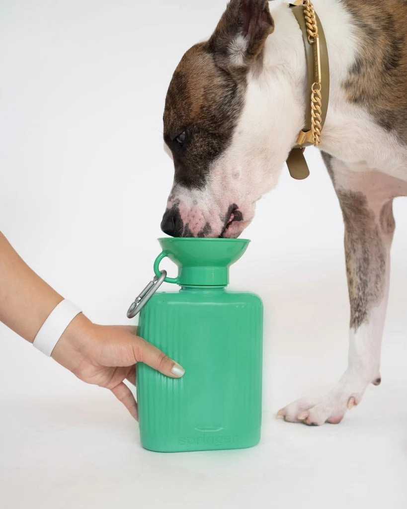 Springer Growler Dog Travel Water Bottle (Sky Blue)