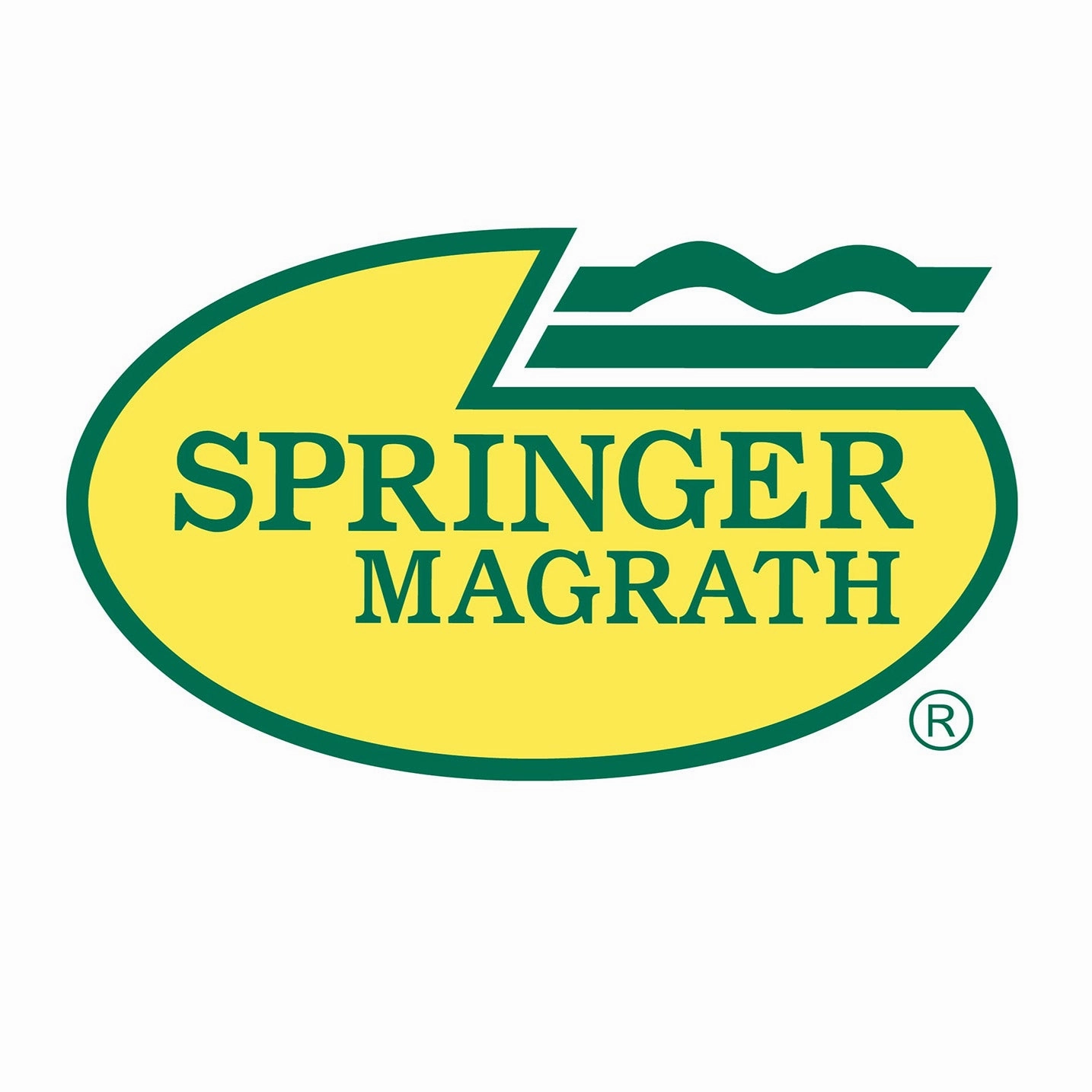 Springer Magrath Stock Shock Power Pack & Battery Stick (sold separately)