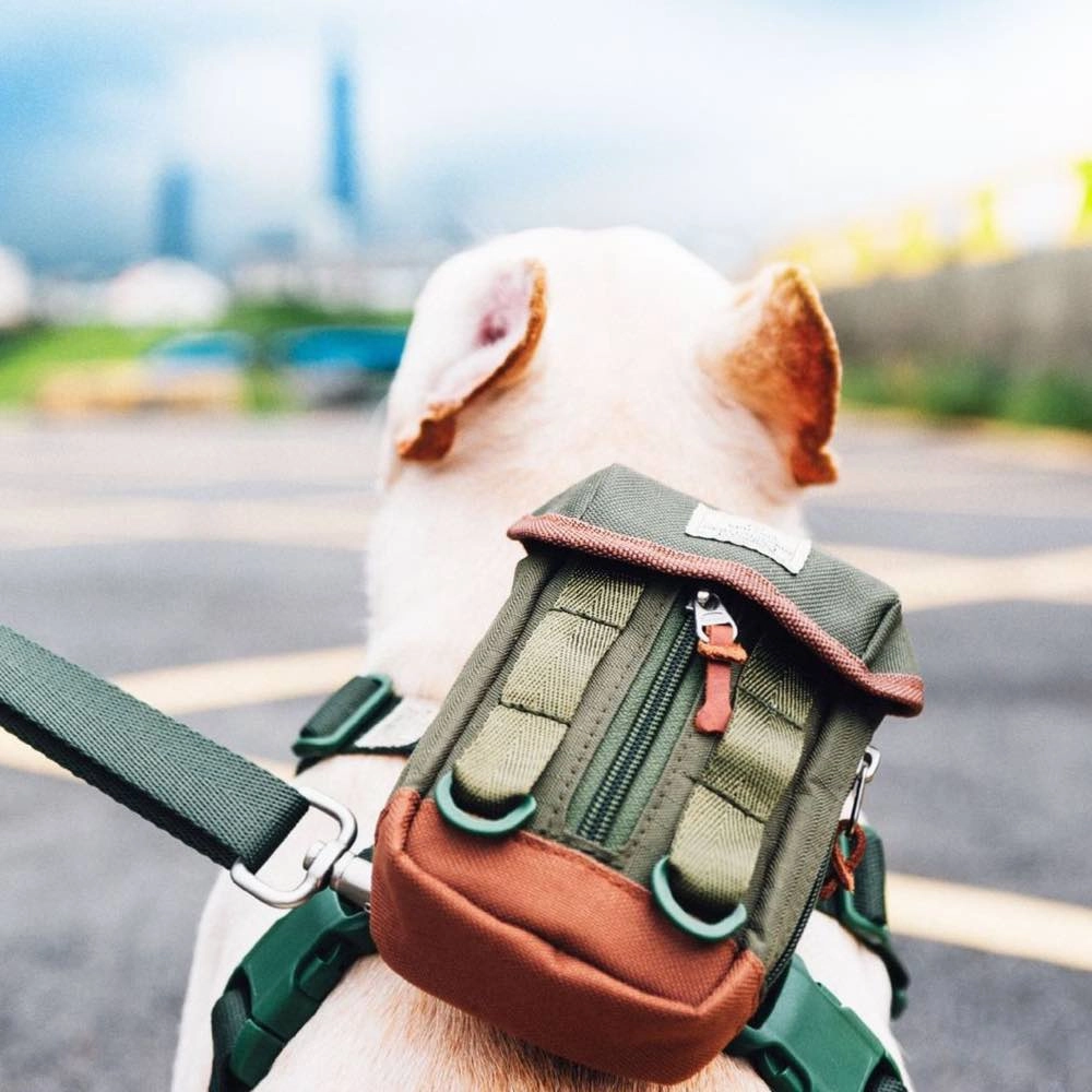 Sputnik Clean Bag Multi-Function Dog Poop Bag Dispenser (Green)