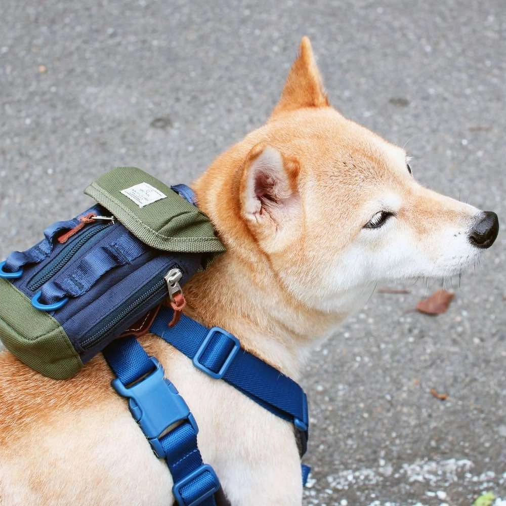 Sputnik Clean Bag Multi-Function Dog Poop Bag Dispenser (Green)