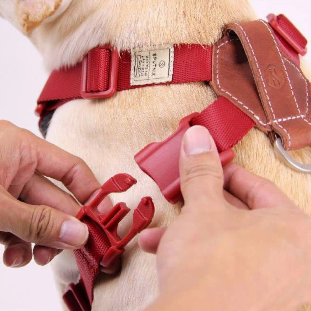 Sputnik Comfort Dog Harness (Blue)