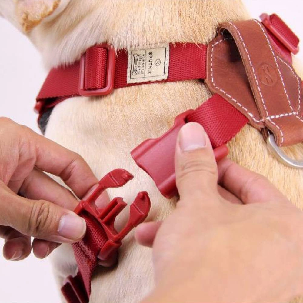 Sputnik Comfort Dog Harness (Yellow)