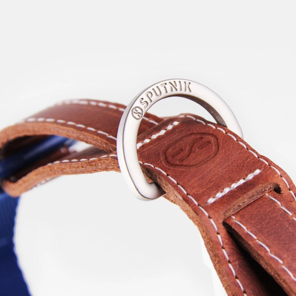 Sputnik Nylon Dog Collar (Yellow)