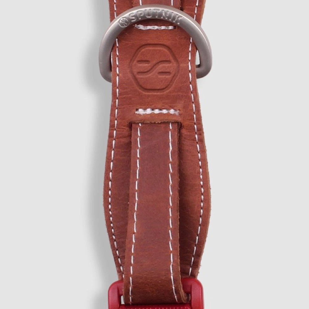 Sputnik Nylon Dog Collar (Yellow)