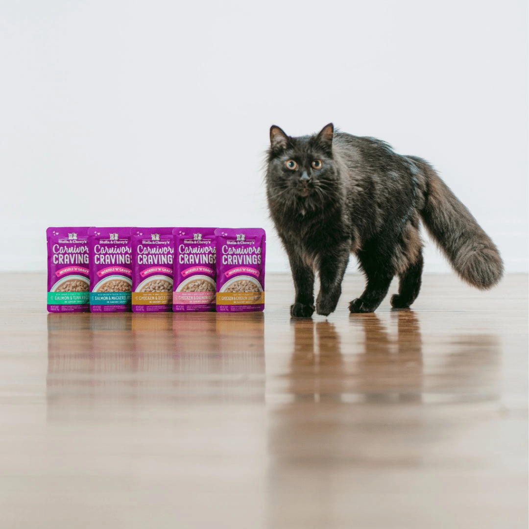 Stella & Chewy's Carnivore Cravings Chicken & Beef Morsels and Gravy Recipe Wet Cat Food