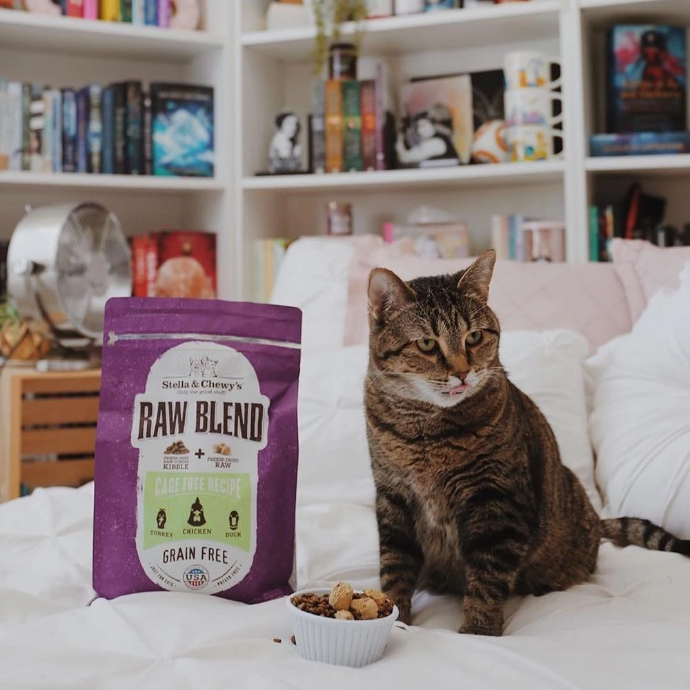 Stella & Chewys Freeze-Dried Raw Blend Kibble Cage Free Chicken Grain-Free Dry Cat Food