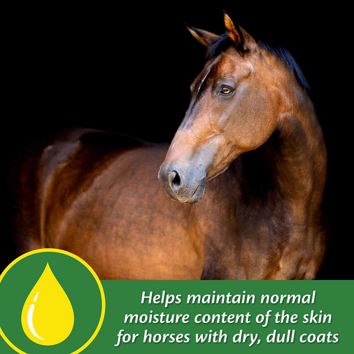 Super 14 Horse Coat Supplement