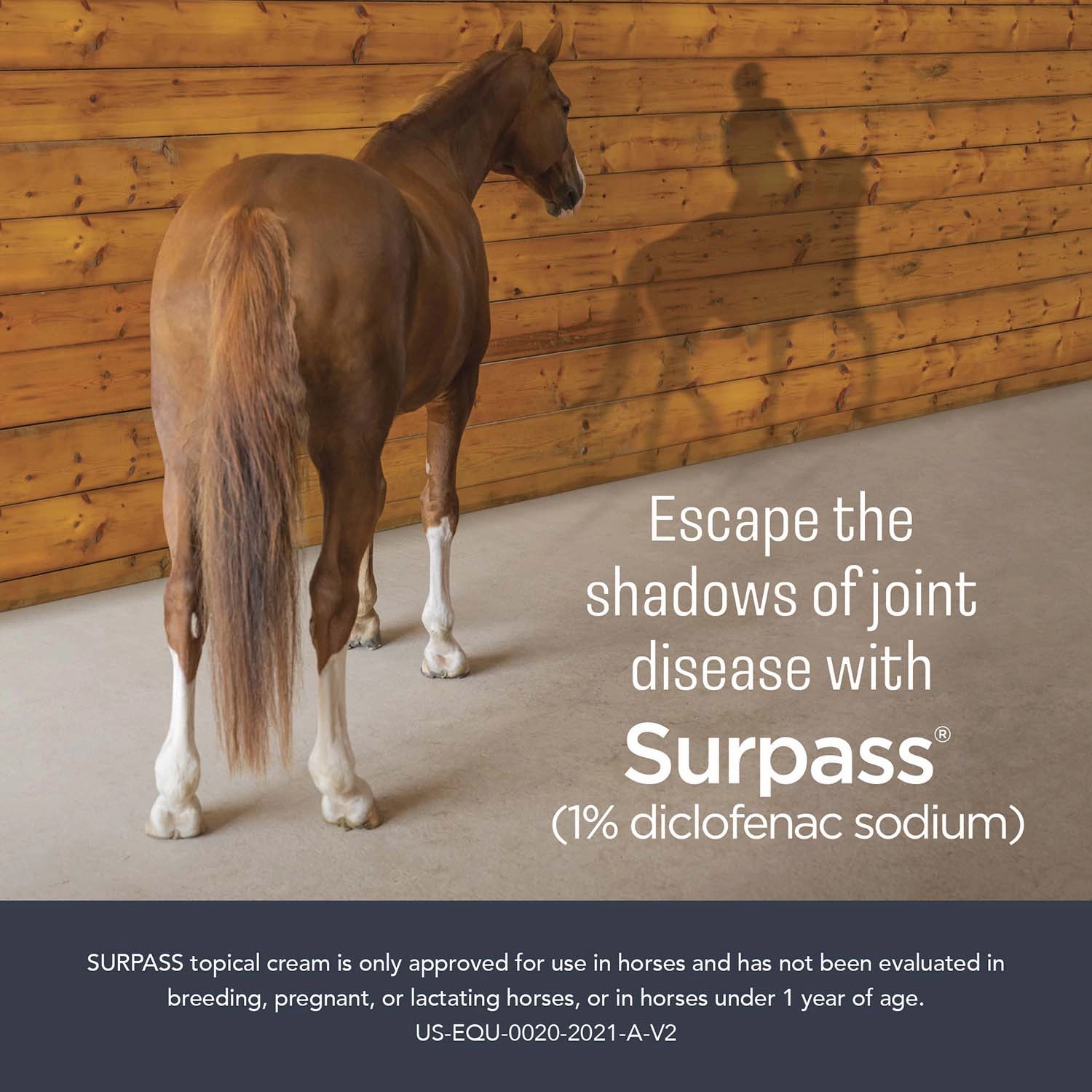 Surpass (1% diclofenac sodium) Topical Cream for Horses, 124 gm/1 Tube