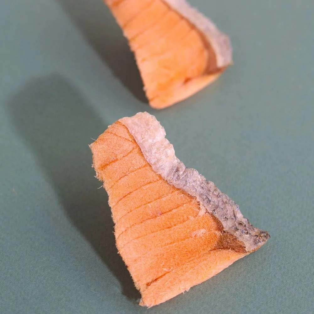 Taki Salmon Fillet Freeze-Dried Treats For Cats & Dogs (12 Packets) 90g