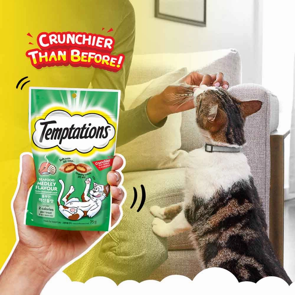Temptations Seafood Medley Cat Treats 75g