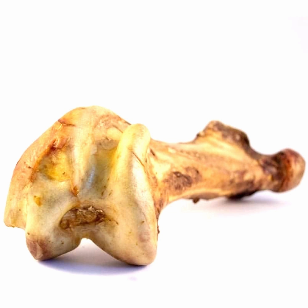 The Source-Sage Club Ostrich Dino Bone Dog Chew 1pc