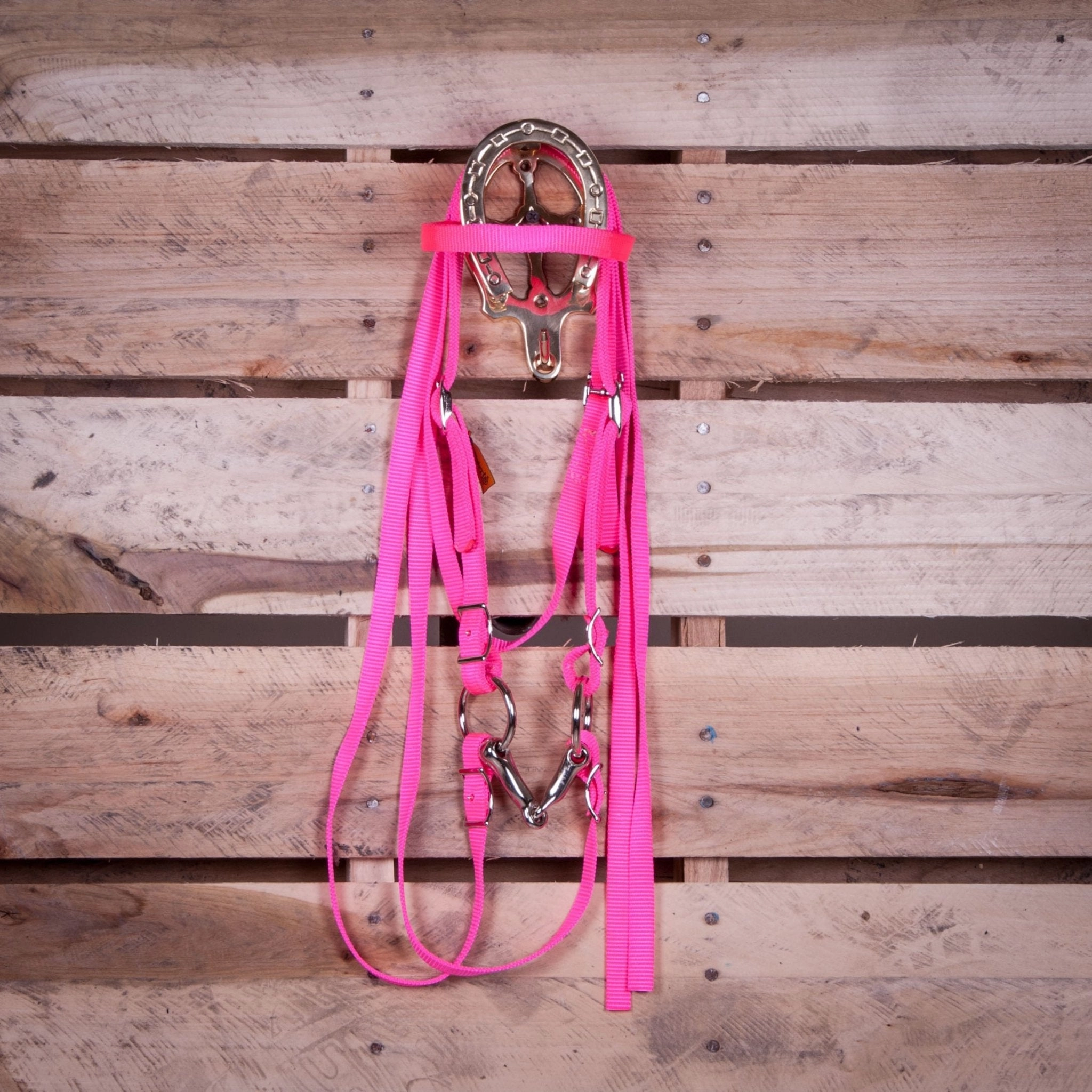 Triple E Miniature Nylon Headstall with Bit & Reins