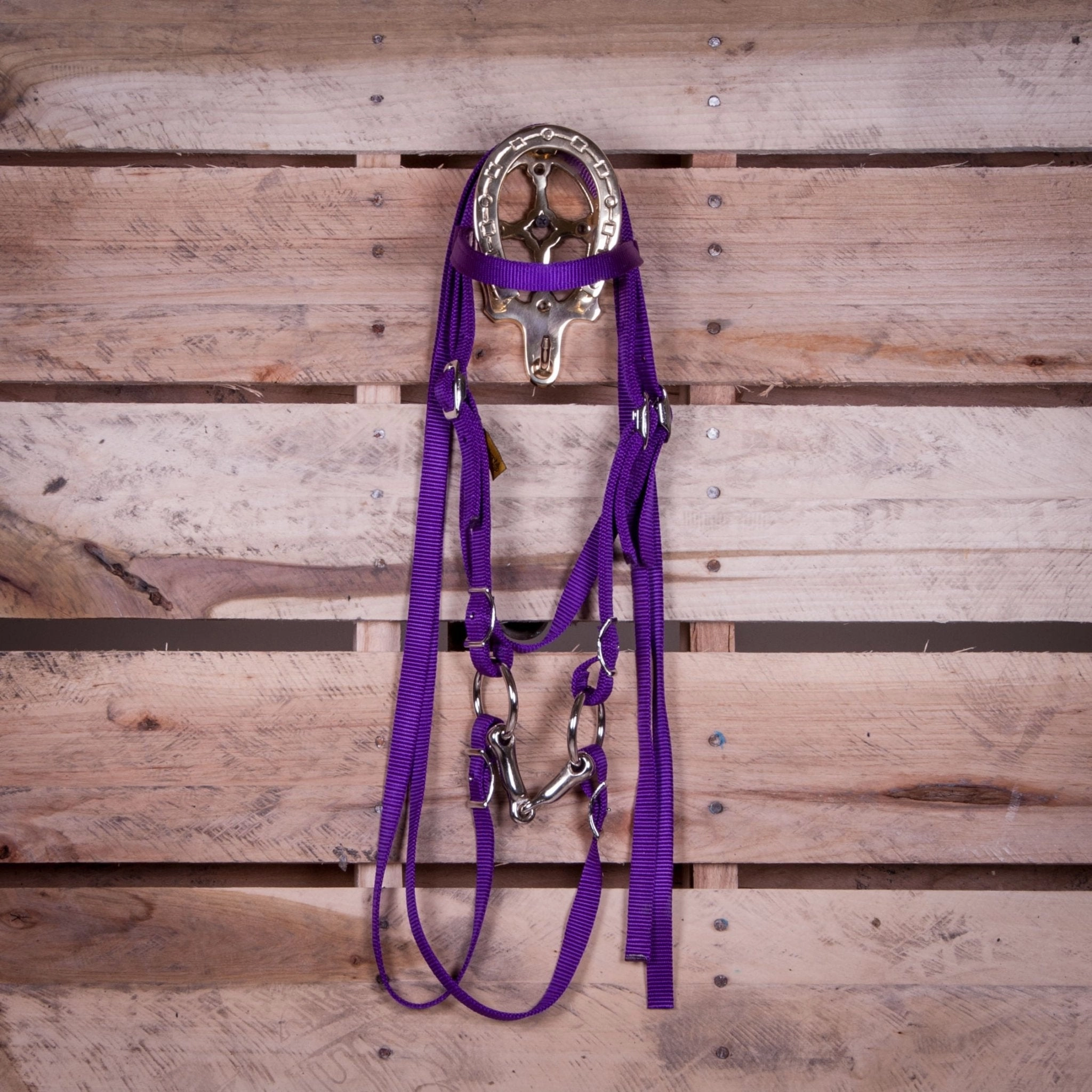 Triple E Miniature Nylon Headstall with Bit & Reins