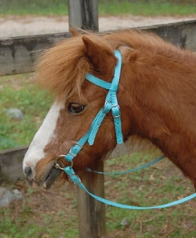Triple E Miniature Nylon Headstall with Bit & Reins