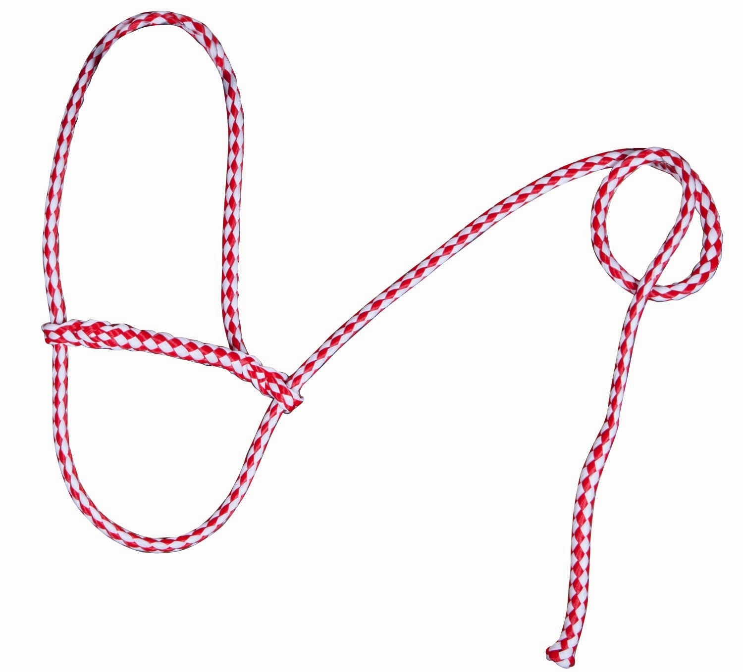 Troyer's Braided Poly Sheep Halter