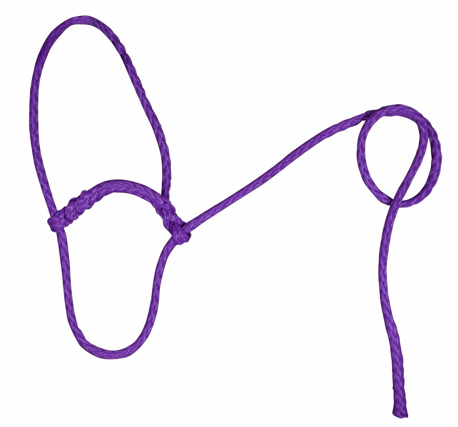 Troyer's Braided Poly Sheep Halter