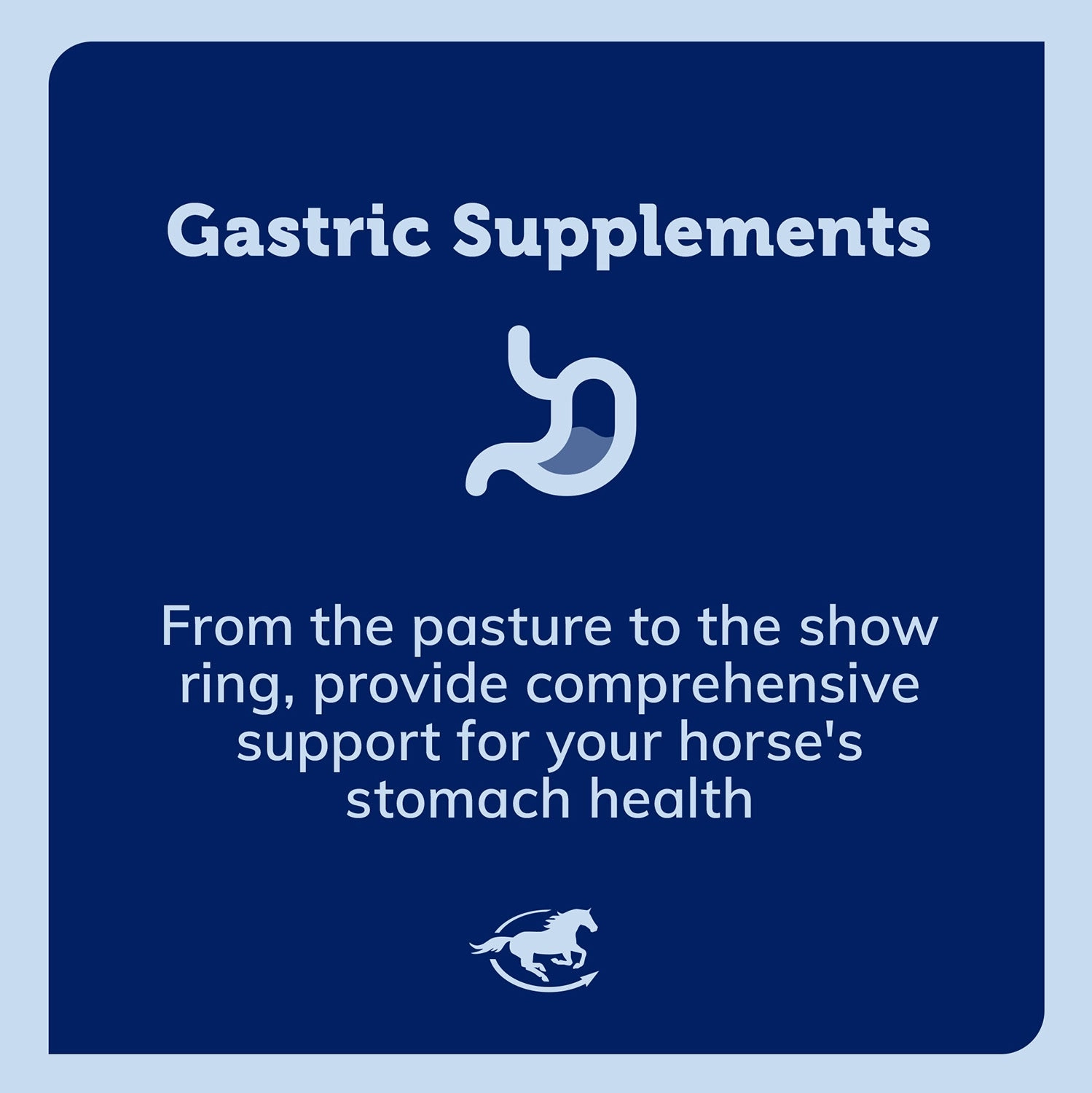 Uckele GUT, Digestive Support for Horses, Paste