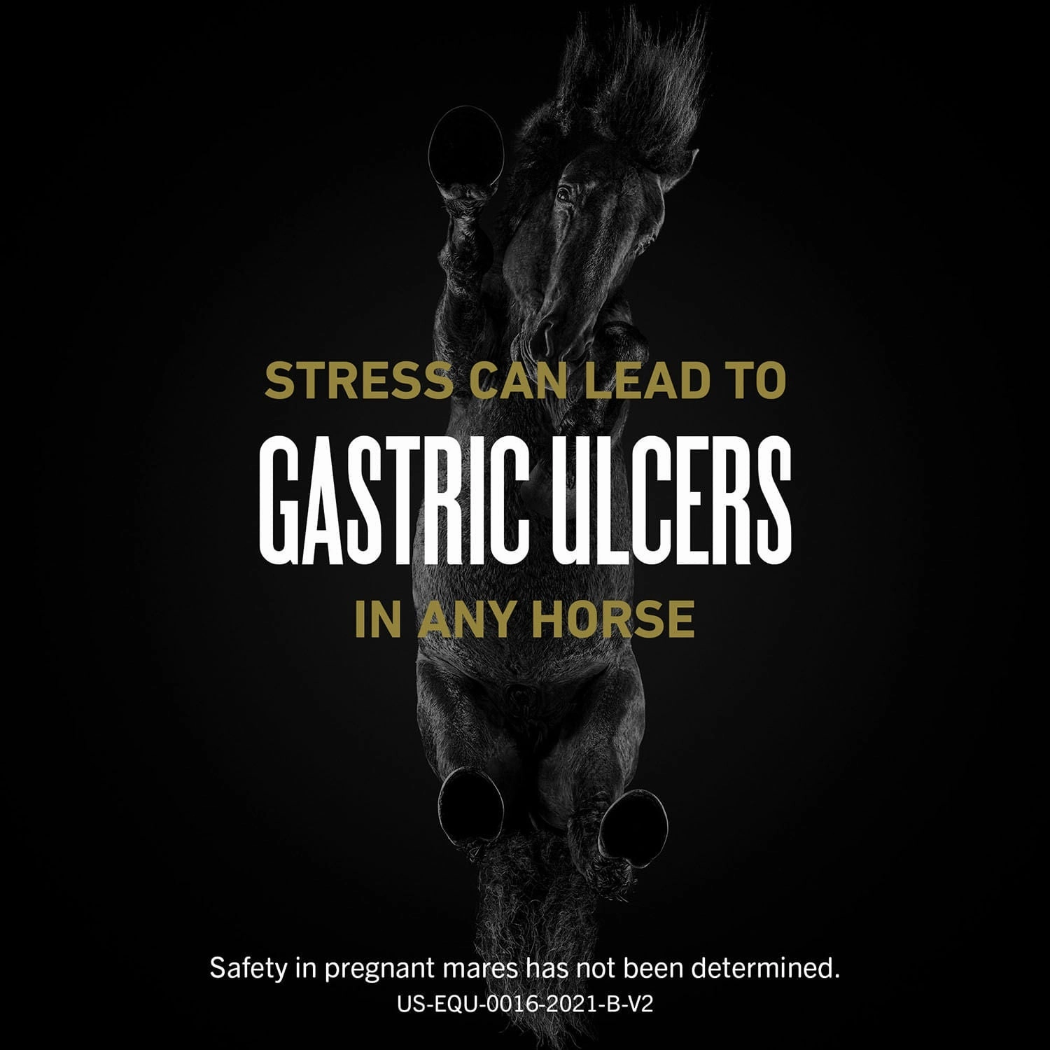 UlcerGard (omeprazole) Oral Paste Ulcer Treatment for Horses