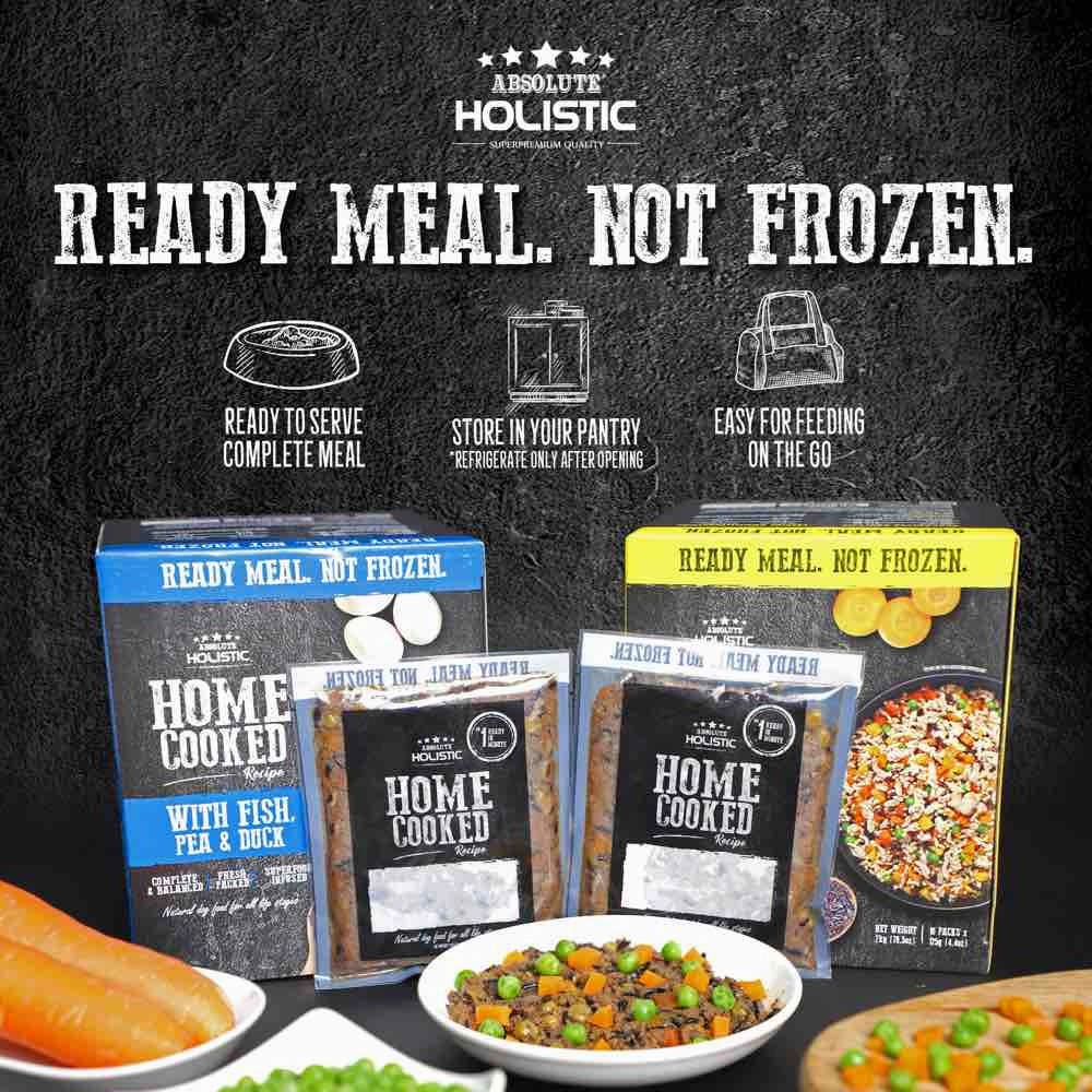 UP TO 35% OFF: Absolute Holistic Home Cooked Recipe Beef, Peas & Salmon Wet Dog Food