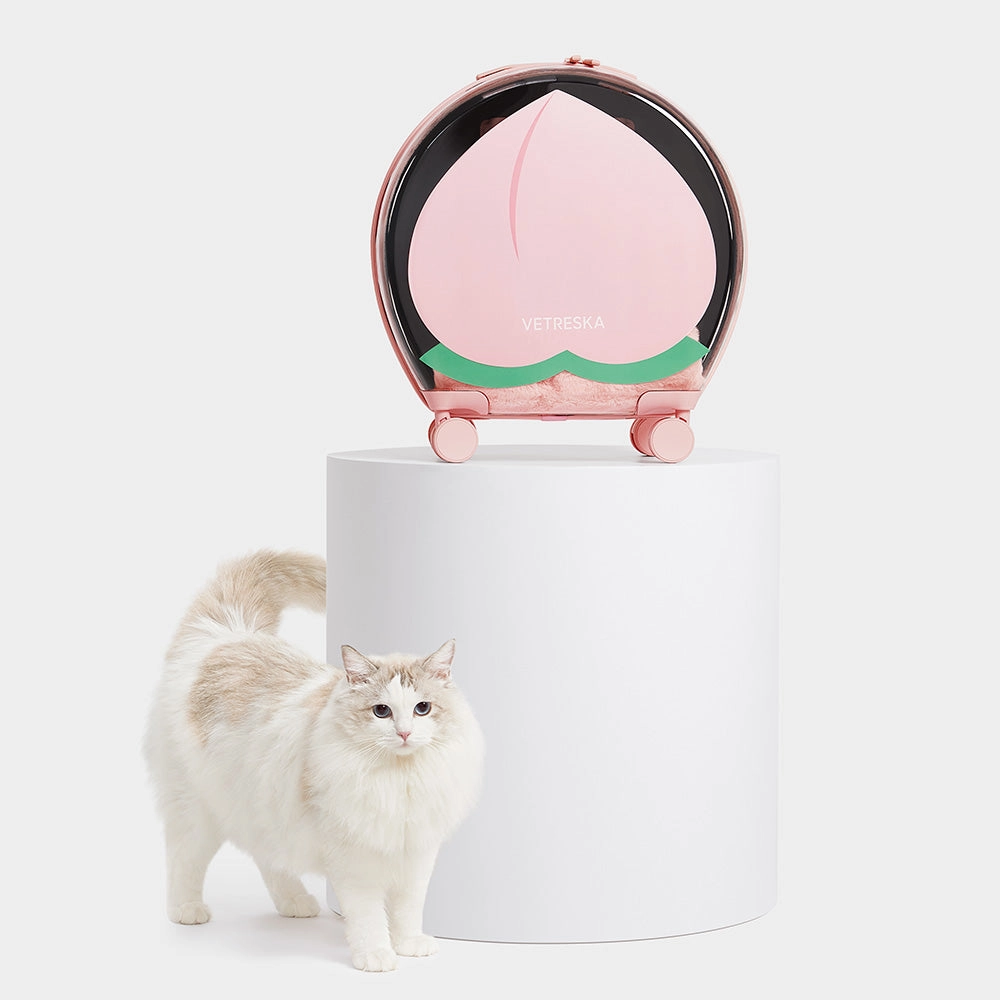 VETRESKA Bubble Carrier For Cats & Dogs (Pink, Opaque)