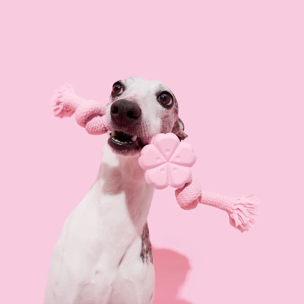 VETRESKA Cherry Blossom Knot Rope Dog Toy