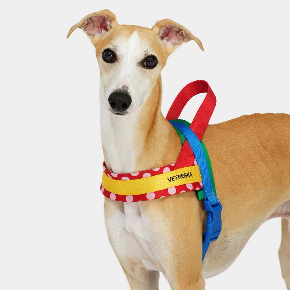 VETRESKA Chroma Dog Harness & Leash Set (Red)