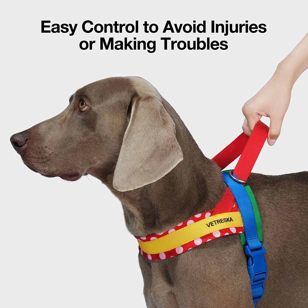 VETRESKA Chroma Dog Harness & Leash Set (Red)
