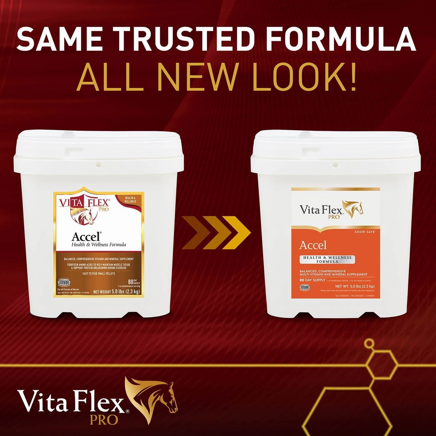 Vita Flex Pro Accel Health & Wellness Formula, Supplement for Horses