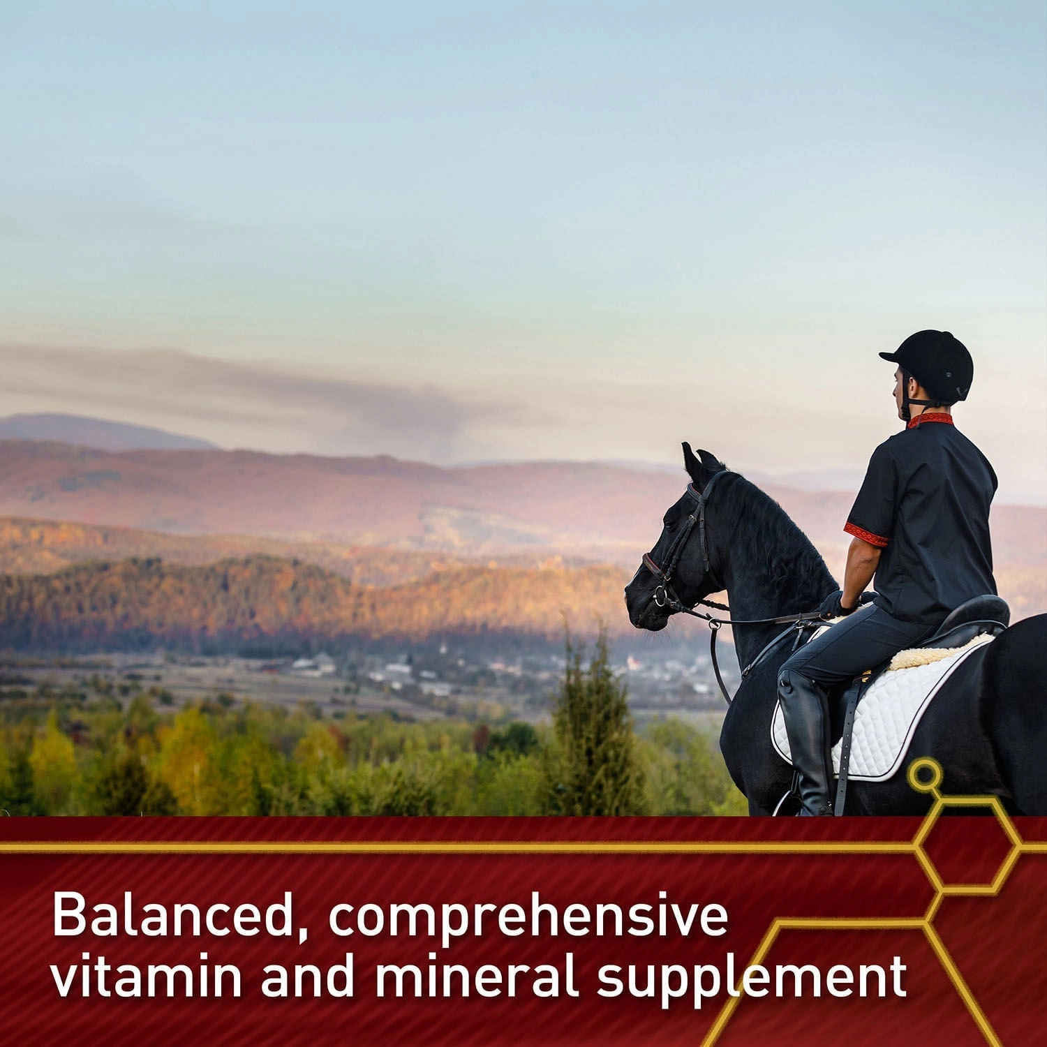 Vita Flex Pro Accel Health & Wellness Formula, Supplement for Horses