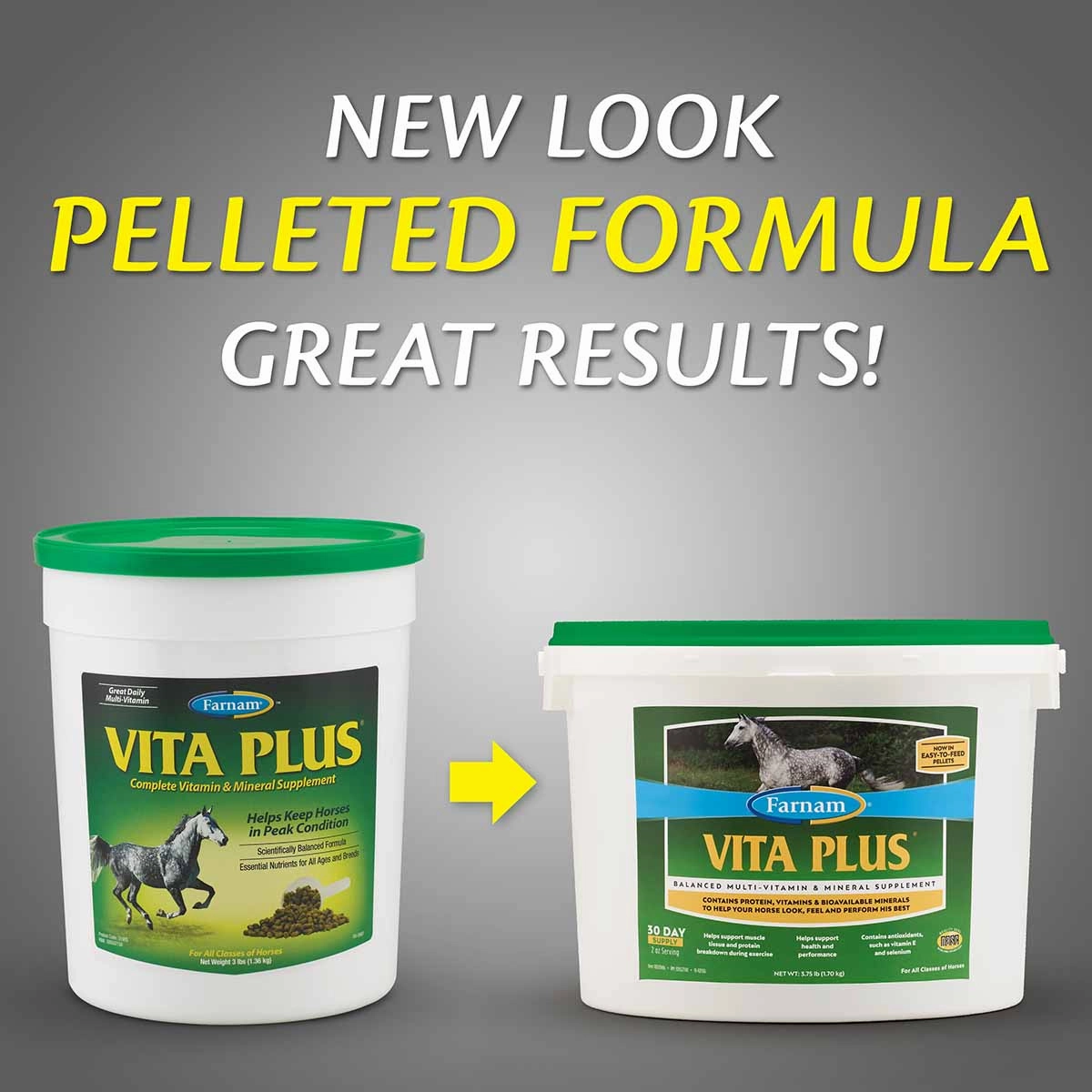 Vita Plus Balanced Vitamin & Mineral Supplement