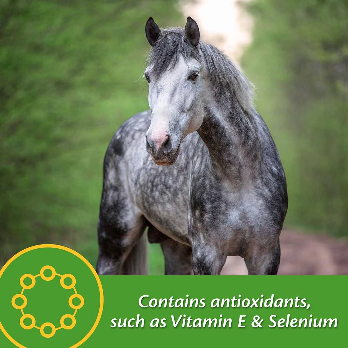 Vita Plus Balanced Vitamin & Mineral Supplement