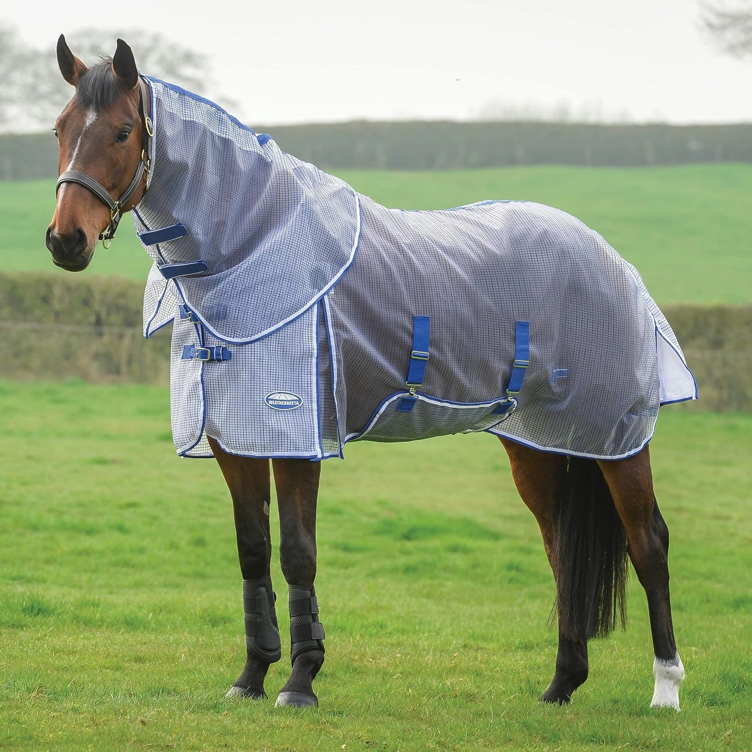 WeatherBeeta ComFITec RipShield Plus Detach-a-Neck Horse Fly Sheet
